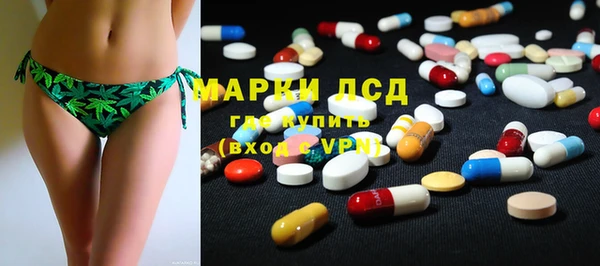 ГАЛЛЮЦИНОГЕННЫЕ ГРИБЫ Михайлов