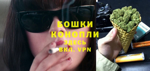 ГАЛЛЮЦИНОГЕННЫЕ ГРИБЫ Михайлов