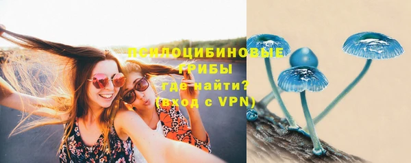 прущая мука Мегион