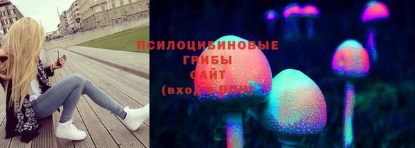 СК Михайловка