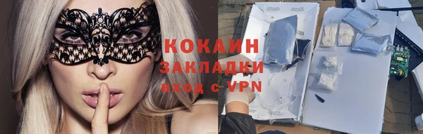 ГАЛЛЮЦИНОГЕННЫЕ ГРИБЫ Михайлов