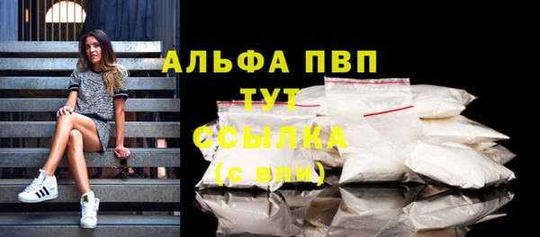 ГАЛЛЮЦИНОГЕННЫЕ ГРИБЫ Михайлов