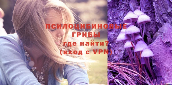 ГАЛЛЮЦИНОГЕННЫЕ ГРИБЫ Михайлов