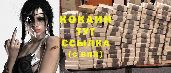 ГАЛЛЮЦИНОГЕННЫЕ ГРИБЫ Михайлов