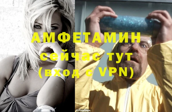 ГАЛЛЮЦИНОГЕННЫЕ ГРИБЫ Михайлов