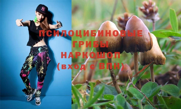 ГАЛЛЮЦИНОГЕННЫЕ ГРИБЫ Михайлов