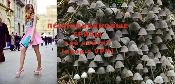 стаф Михайловск