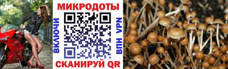 мега онион  Южа  Псилоцибиновые грибы Psilocybine cubensis  что такое наркотик 